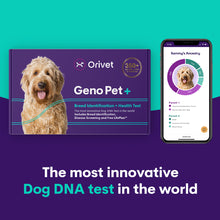 Load image into Gallery viewer, Geno Pet+  (Breed Identification &amp; Health Kit)
