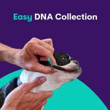 Load image into Gallery viewer, Geno Pet+  (Breed Identification &amp; Health Kit)
